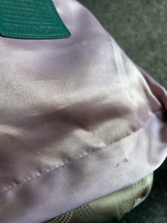 Coach Taupe Signature Crossbody with Green Leather Trim - Picture 4 of 12